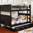 Marci Twin/Twin Trundle Bunk Bed